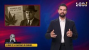 المغرب ونهضة القنب : التاريخ، التنظيم والقضايا الاقتصادية الحالية
