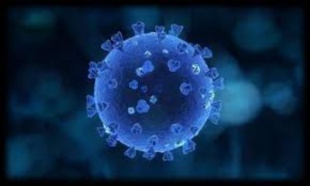 جائحة كوفيد 19 خلفت انكماشا اقتصاديا وتفاقما للفقر والهشاشة وزيادة الفوارق الاجتماعية جائحة كوفيد 19 خلفت انكماشا اقتصاديا وتفاقما للفقر والهشاشة وزيادة الفوارق الاجتماعية