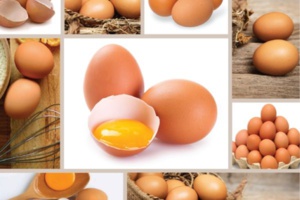 سعر البيض في المغرب يرتفع إلى 1.20 درهم في الأيام الأخيرة سعر البيض في المغرب يرتفع إلى 1.20 درهم في الأيام الأخيرة