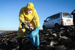 الحكومة البريطانية تتخذ تدابير صارمة لاحتواء الوباء بعد رصد حالات انتقال المرض إلى الإنسان في الصين الحكومة البريطانية تتخذ تدابير صارمة لاحتواء الوباء بعد رصد حالات انتقال المرض إلى الإنسان في الصين