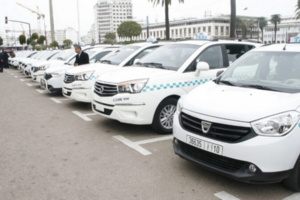 النقل البري: الموجة السابعة من الدعم الاستثنائي للمهنيين في هذا القطاع النقل البري: الموجة السابعة من الدعم الاستثنائي للمهنيين في هذا القطاع