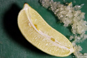 " كافيار " فاكهة تتميز بمذاقها الحيوي والمكثف " كافيار " فاكهة تتميز بمذاقها الحيوي والمكثف