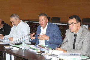 إعداد مخطط التنمية الجهوي متواصل من أجل تقديم صيغته النهائية للمصادقة عليه في مجلس الجهة إعداد مخطط التنمية الجهوي متواصل من أجل تقديم صيغته النهائية للمصادقة عليه في مجلس الجهة