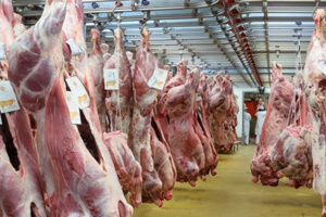 أسعار اللحوم الحمراء بلغت 80 درهماً