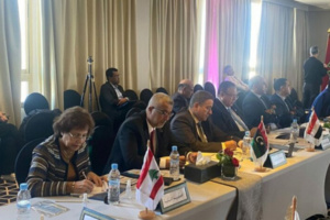 لقاء رفيع المستوى للتعريف بالخطة الشاملة المحدثة للثقافة العربية