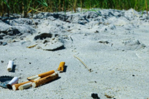 أثر التدخين غلى حياة الانسان والبيئة أثر التدخين غلى حياة الانسان والبيئة