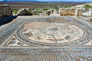 جائزة الاتحاد الدولي لمراكز الحفاظ على التراث جائزة الاتحاد الدولي لمراكز الحفاظ على التراث