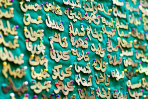 قصور اللغة أم قصور الفكر؟