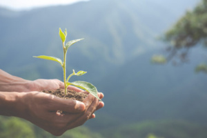 المغرب يتألق في برلين المغرب يتألق في برلين