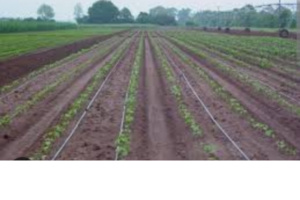 لمواجهة الجفاف.. إحداث مدار سقوي بإقليم الجديدة انطلاقا من محطة تحلية مياه البحر بالدار البيضاء لمواجهة الجفاف.. إحداث مدار سقوي بإقليم الجديدة انطلاقا من محطة تحلية مياه البحر بالدار البيضاء