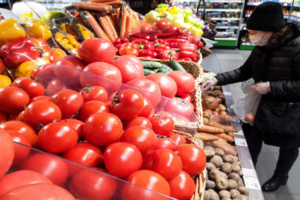 أسعار الطماطم تتراجع في أسواق المغرب