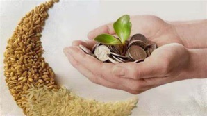 حركية ضعيفة داخل أروقة أسواق الحبوب في العيد  حركية ضعيفة داخل أروقة أسواق الحبوب في العيد