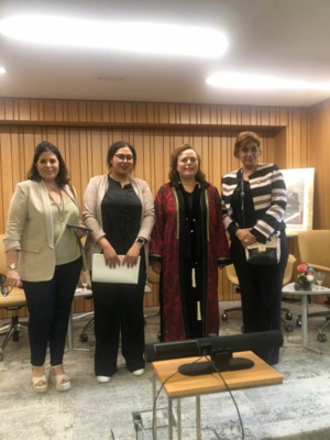 النساء الطرازات : الاستراتيجية الجديدة للوزيرة عواطف حيار النساء الطرازات : الاستراتيجية الجديدة للوزيرة عواطف حيار