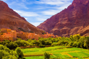 ورزازات تستضيف المؤتمر الدولي للواحات ونخيل التمر