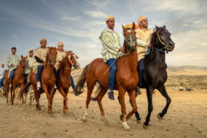 الخيول الأصيلة تعود للتسابق بـ"ماطا الدولي للفروسية" الخيول الأصيلة تعود للتسابق بـ"ماطا الدولي للفروسية"