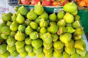 طنجة : ضعف الإنتاج والتسويق يلهبان أسعار الباكور والغدان في طنجة : ضعف الإنتاج والتسويق يلهبان أسعار الباكور والغدان في