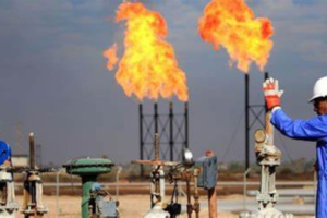 وزيرة الانتقال الطاقي تكشف حجم الإنتاج المتوقع من الاكتشافات الغازية الجديدة وزيرة الانتقال الطاقي تكشف حجم الإنتاج المتوقع من الاكتشافات الغازية الجديدة