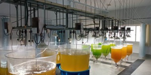 زراعة الأعشاب البحرية : إمكانات كبيرة بحثا عن التثمين زراعة الأعشاب البحرية : إمكانات كبيرة بحثا عن التثمين