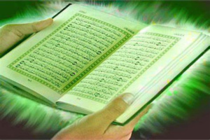 همجية في ثياب التحضر همجية في ثياب التحضر