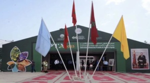 أكادير.. افتتاح المعرض الجهوي للمنتوجات الفلاحية أكادير.. افتتاح المعرض الجهوي للمنتوجات الفلاحية