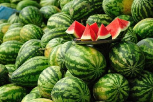 أكادير: اونسا تكشف عن وجود مواد سامة بـ”الدلاح” أكادير: اونسا تكشف عن وجود مواد سامة بـ”الدلاح”