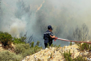 تازة: جهود جبارة من قبل جميع المتدخلين لإخماد الحريق الذي أتى على حوالي 600 هكتار حتى الآن