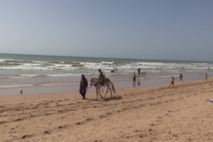 مع ارتفاع درجات الحرارة.. شاطئ “فم الواد” وجهة سكان جهة العيون مع ارتفاع درجات الحرارة.. شاطئ “فم الواد” وجهة سكان جهة العيون