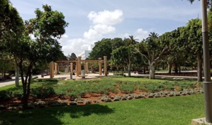 الرباط يحتفي بالحديقة والفعل الثقافي في العالم العربي الرباط يحتفي بالحديقة والفعل الثقافي في العالم العربي