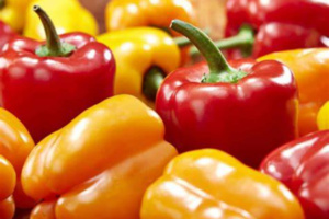 المغرب ثاني أكبر مورد للفلفل إلى الاتحاد الأوروبي المغرب ثاني أكبر مورد للفلفل إلى الاتحاد الأوروبي