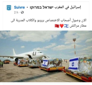 عاجل.. وصول مختصين من إسرائيل بمعدات وكلاب مدربة إلى مطار مراكش عاجل.. وصول مختصين من إسرائيل بمعدات وكلاب مدربة إلى مطار مراكش