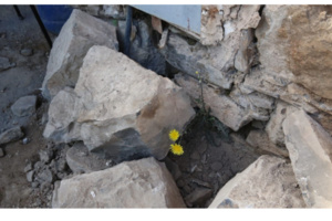 مطالب بمتابعة منتهكي “حرمة” الأطفال بمناطق الزلزال وأصحاب عروض الزواج بقاصرات مطالب بمتابعة منتهكي “حرمة” الأطفال بمناطق الزلزال وأصحاب عروض الزواج بقاصرات