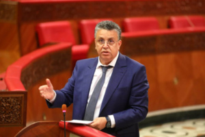 وهبي: السجن لم يعد رادعاً وهبي: السجن لم يعد رادعاً