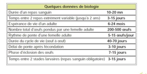 الدكتور الطيب حمضي يوضح ل "لوديجي أنفو" : أهم المعطيات عن بق الفراش Punaises de lit لفهم: الدكتور الطيب حمضي يوضح ل "لوديجي أنفو" : أهم المعطيات عن بق الفراش Punaises de lit لفهم: