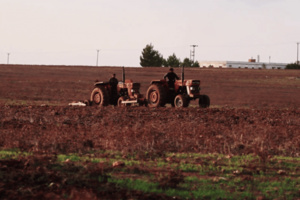 القطاع الفلاحي بالمغرب يسجل نموا بـ3% ورقم المعاملات يرتفع بـ10% القطاع الفلاحي بالمغرب يسجل نموا بـ3% ورقم المعاملات يرتفع بـ10%