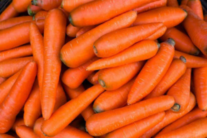 المغرب يصدر الجزر لـ34 دولة وعائداته تتجاوز 12 مليون دولار المغرب يصدر الجزر لـ34 دولة وعائداته تتجاوز 12 مليون دولار