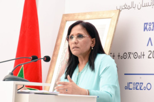 تعقيدات تنفيذ التوجيهات الأوروبية للعناية بحقوق الإنسان بإفريقيا تعقيدات تنفيذ التوجيهات الأوروبية للعناية بحقوق الإنسان بإفريقيا