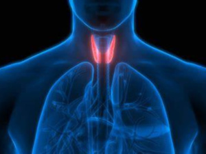 قصور الغذة الدرقية قصور الغذة الدرقية