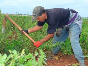 التساقطات الأخيرة تنعش الأمل في موسم فلاحي جيد التساقطات الأخيرة تنعش الأمل في موسم فلاحي جيد
