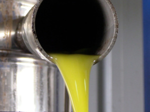 ارتفاع أسعار زيت الزيتون يصل إلى البرلمان ارتفاع أسعار زيت الزيتون يصل إلى البرلمان