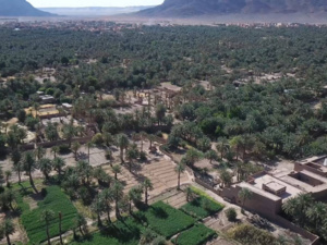 فجيج تستقبل الدورة الـ16 لمهرجان ثقافات الواحات فجيج تستقبل الدورة الـ16 لمهرجان ثقافات الواحات