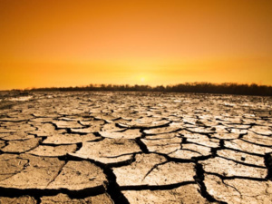 2023 سيكون العام «الأكثر حرا» في التاريخ 2023 سيكون العام «الأكثر حرا» في التاريخ