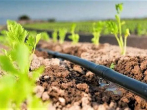 المغرب يطمح لسقي 104 ألف هكتار من الأراضي الفلاحية بتحلية مياه البحر المغرب يطمح لسقي 104 ألف هكتار من الأراضي الفلاحية بتحلية مياه البحر