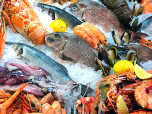 مطالب المهنيين لتمكين المواطنين من الأسماك بسعر معقول في رمضان مطالب المهنيين لتمكين المواطنين من الأسماك بسعر معقول في رمضان