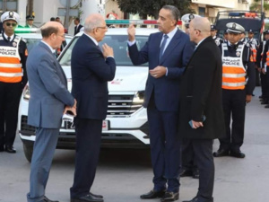 هلوسات لسان حال « الكابرانات » هلوسات لسان حال « الكابرانات »