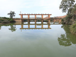 وكالة الحوض المائي لأم الربيع: نسبة ملء حقينة السدود تصل إلى 4,4 في المائة وكالة الحوض المائي لأم الربيع: نسبة ملء حقينة السدود تصل إلى 4,4 في المائة