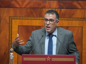 حموني: استعلاء الحكومة حال دون وساطة البرلمان لطيّ احتقان التعليم حموني: استعلاء الحكومة حال دون وساطة البرلمان لطيّ احتقان التعليم