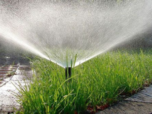 مشروع لسقي 5 آلاف هكتار بالداخلة بالمياه المحلاة مشروع لسقي 5 آلاف هكتار بالداخلة بالمياه المحلاة