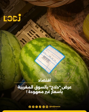 زراعة البطيخ لترشيد استهلاك المياه في المملكة المغربية زراعة البطيخ لترشيد استهلاك المياه في المملكة المغربية