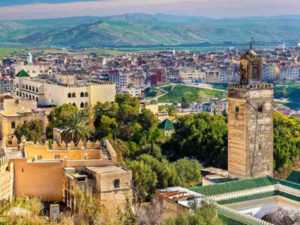 فاس تحتضن الدورة السادسة للمؤتمر الدولي لأطباء سرطان الجهاز البولي التناسلي فاس تحتضن الدورة السادسة للمؤتمر الدولي لأطباء سرطان الجهاز البولي التناسلي