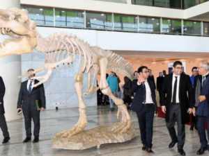 الرباط: المعرض الدولي الأول حول التراث الأحفوري الرباط: المعرض الدولي الأول حول التراث الأحفوري